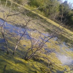 Meet your Posher, Angie